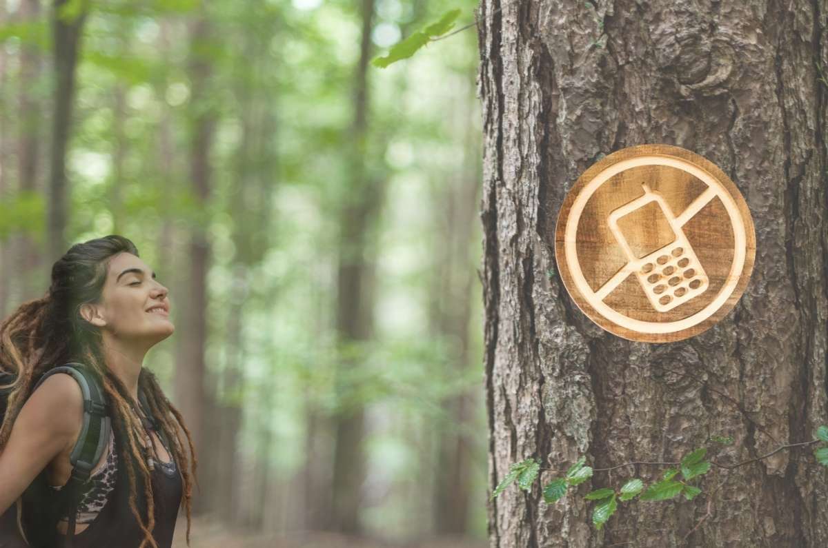 24 horas de desconexión en Chapultepec: recorrido sensorial y detox digital