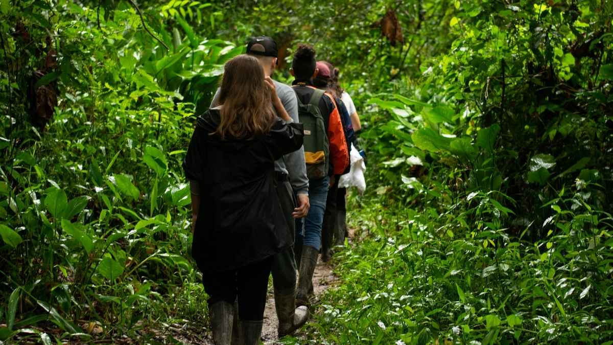 recorrido sensorial en el Bosque de Chapultepec
