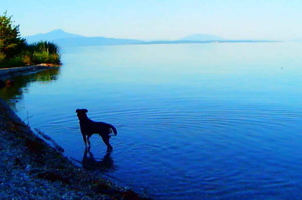 Godard en 3D: Checa dónde ver una de sus mejores películas en FICUNAM
