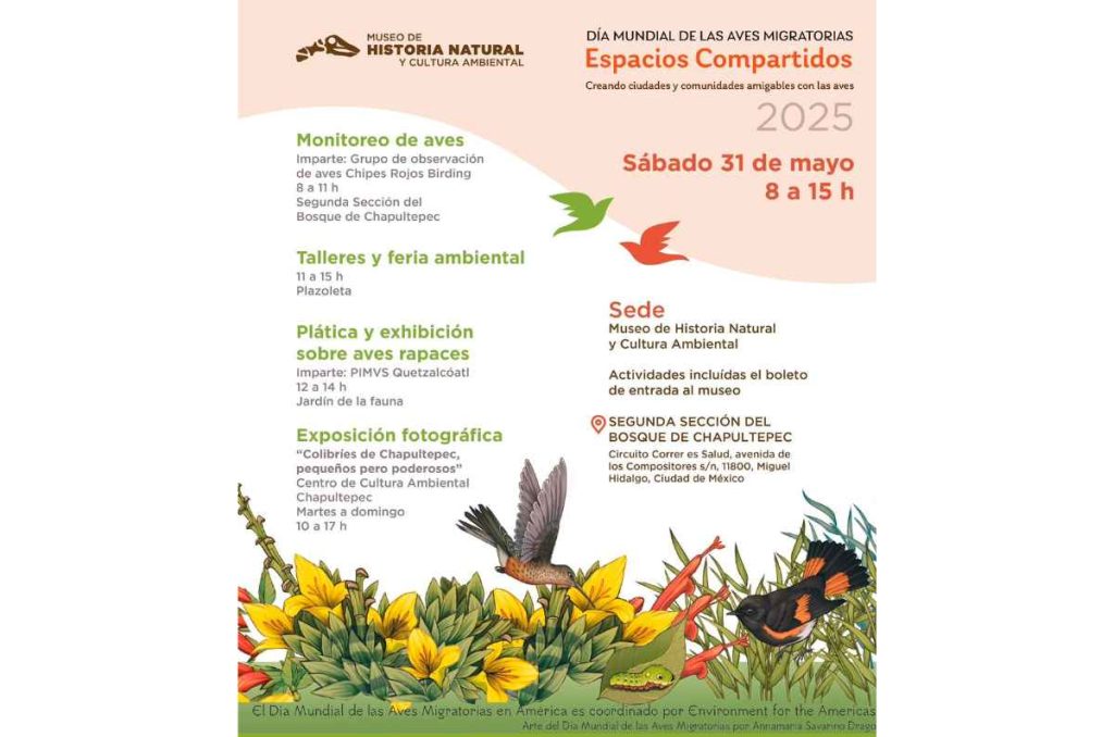 Celebra el Día Mundial de las Aves Migratorias en el Museo de Historia Natural