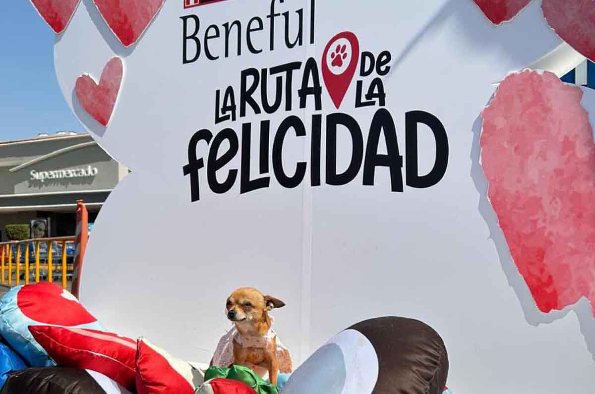 La Ruta de la Felicidad de Beneful Regresa: Una Tarde Inolvidable con tu Perro