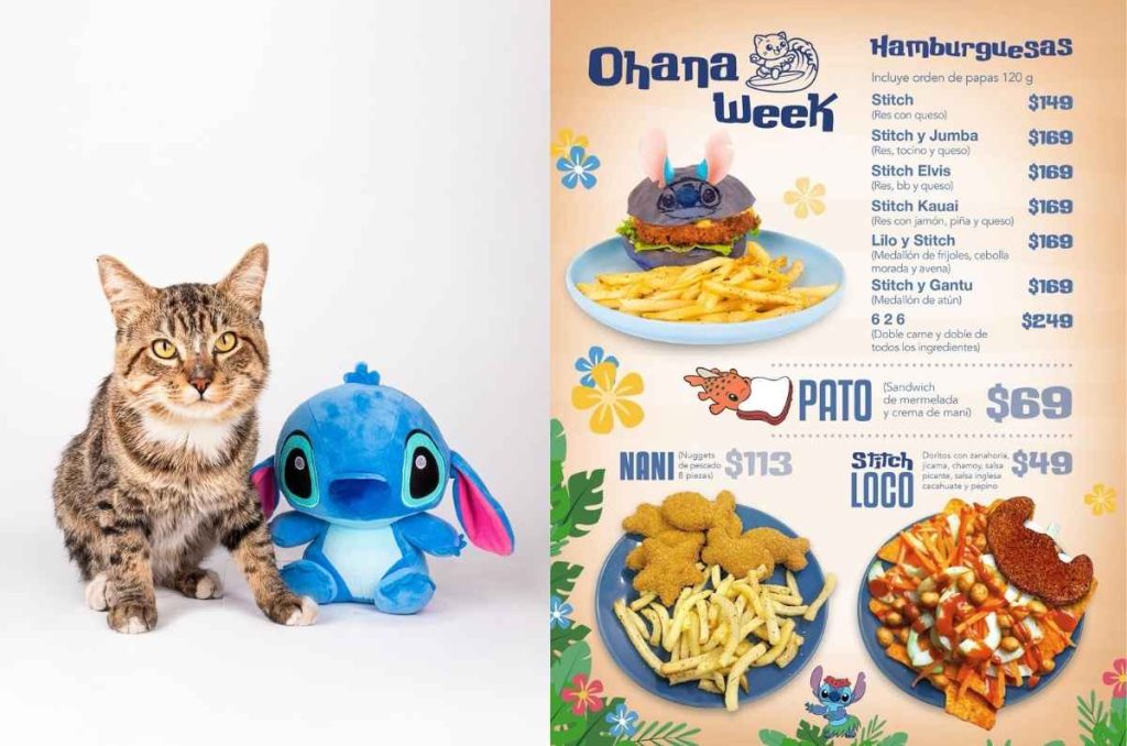 Ohana Week en Catfecito