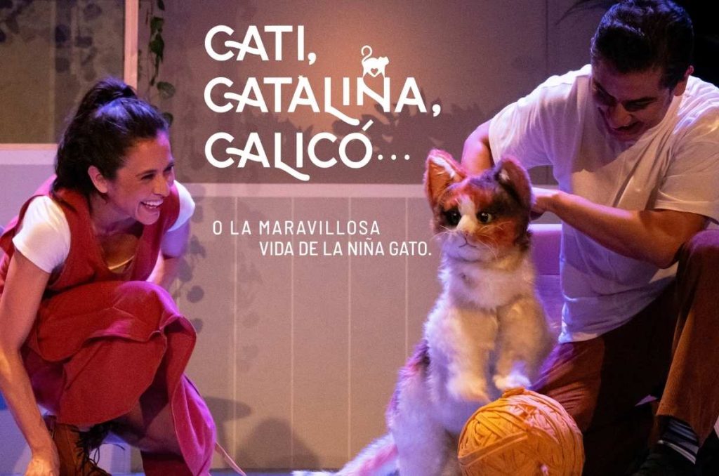 la maravillos vida de la niña gato