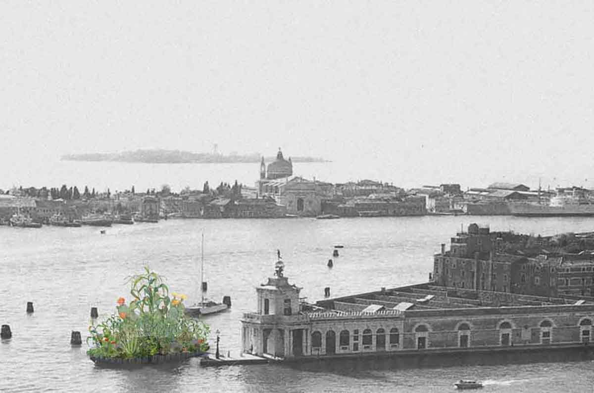 Chinampa Veneta: México Regenera Espacios en la Bienal de Venecia