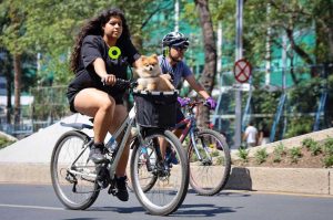 Lánzate al Ciclotón de CDMX: habrá un circuito de 62 Kms ¡Gratis!