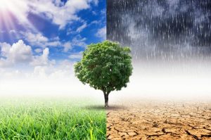 Alertan por tormentas, calor extremo y oleaje elevado en México