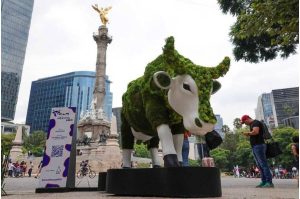 CowParade CDMX 2025: Las vaquitas regresan a Reforma
