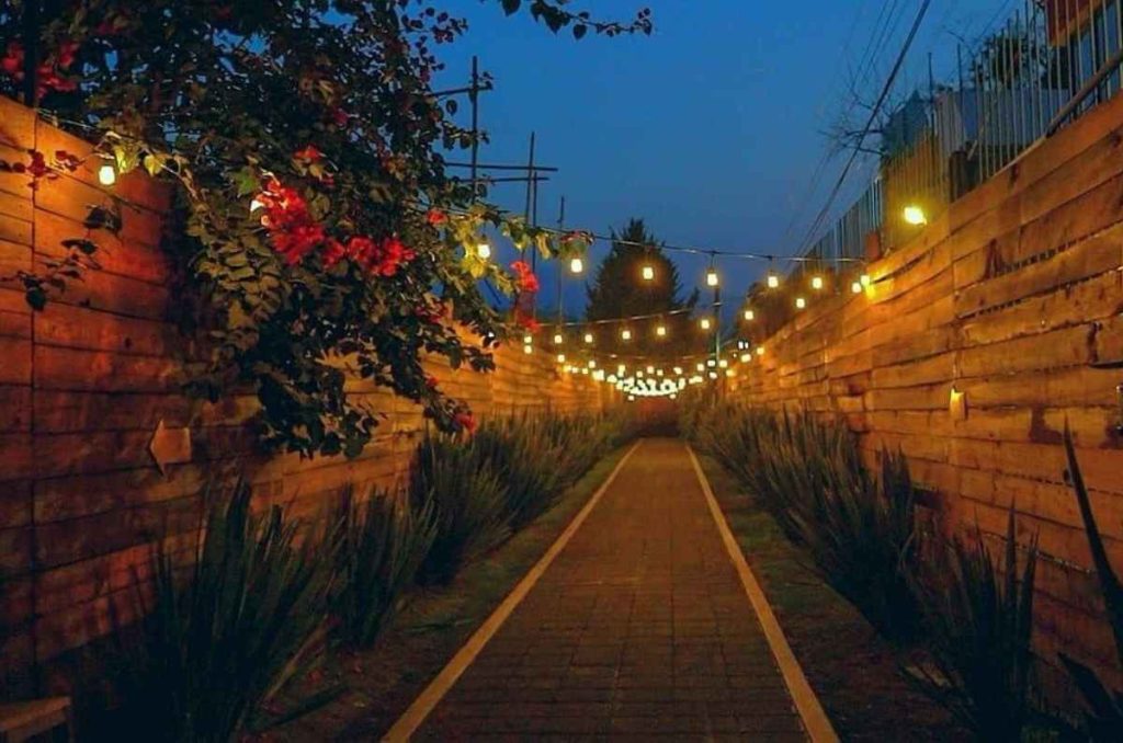 Disfruta de Domingo en Xochimilco con tu familia y tu mascota