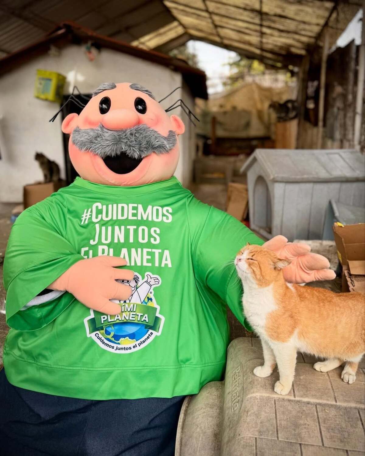 Simi Pet Care, las nuevas clínicas veterinarias del Dr. Simi