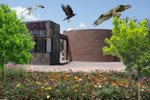Celebra Festival Ambiental del Bosque de Tláhuac con actividades y avistamiento de aves