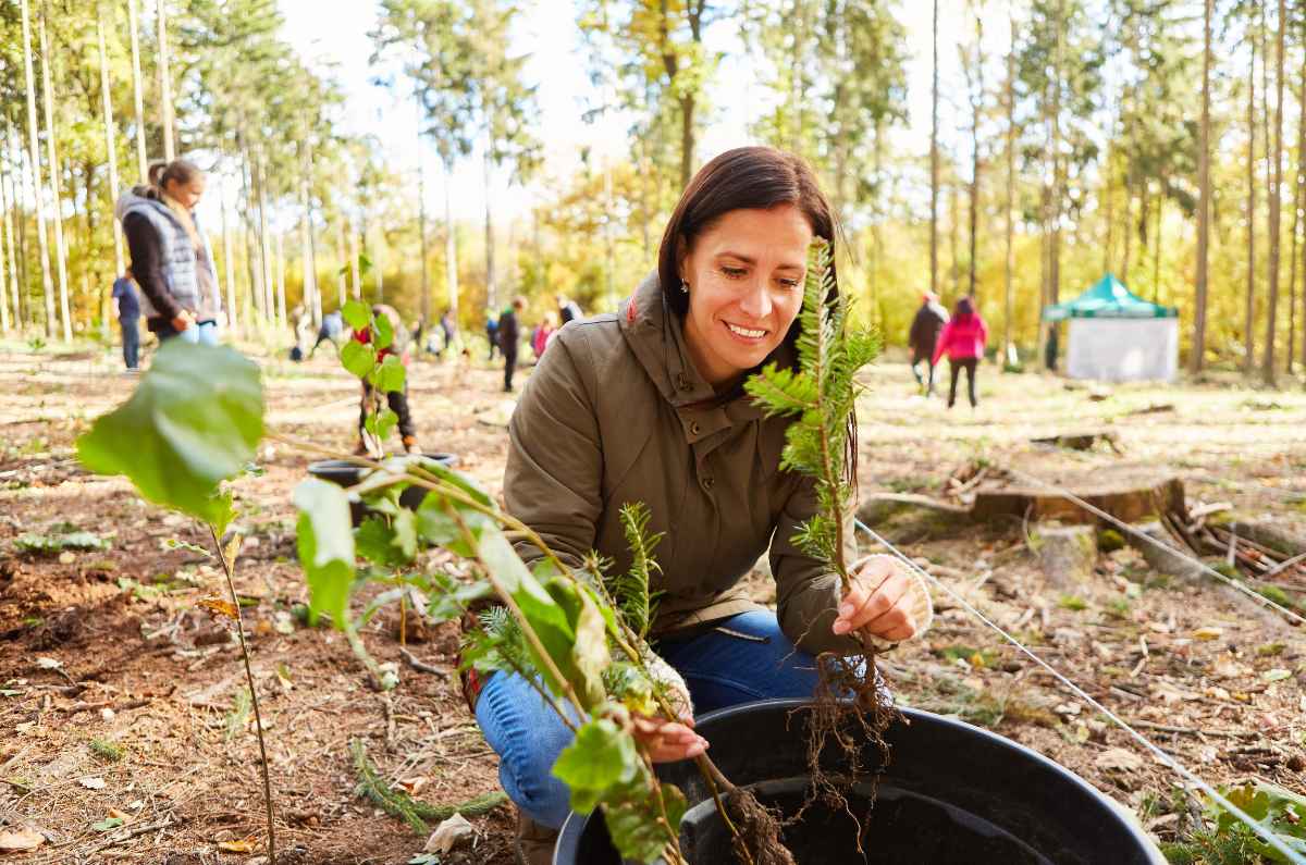 festival-ambiental-del-bosque-de-tlahuac-2