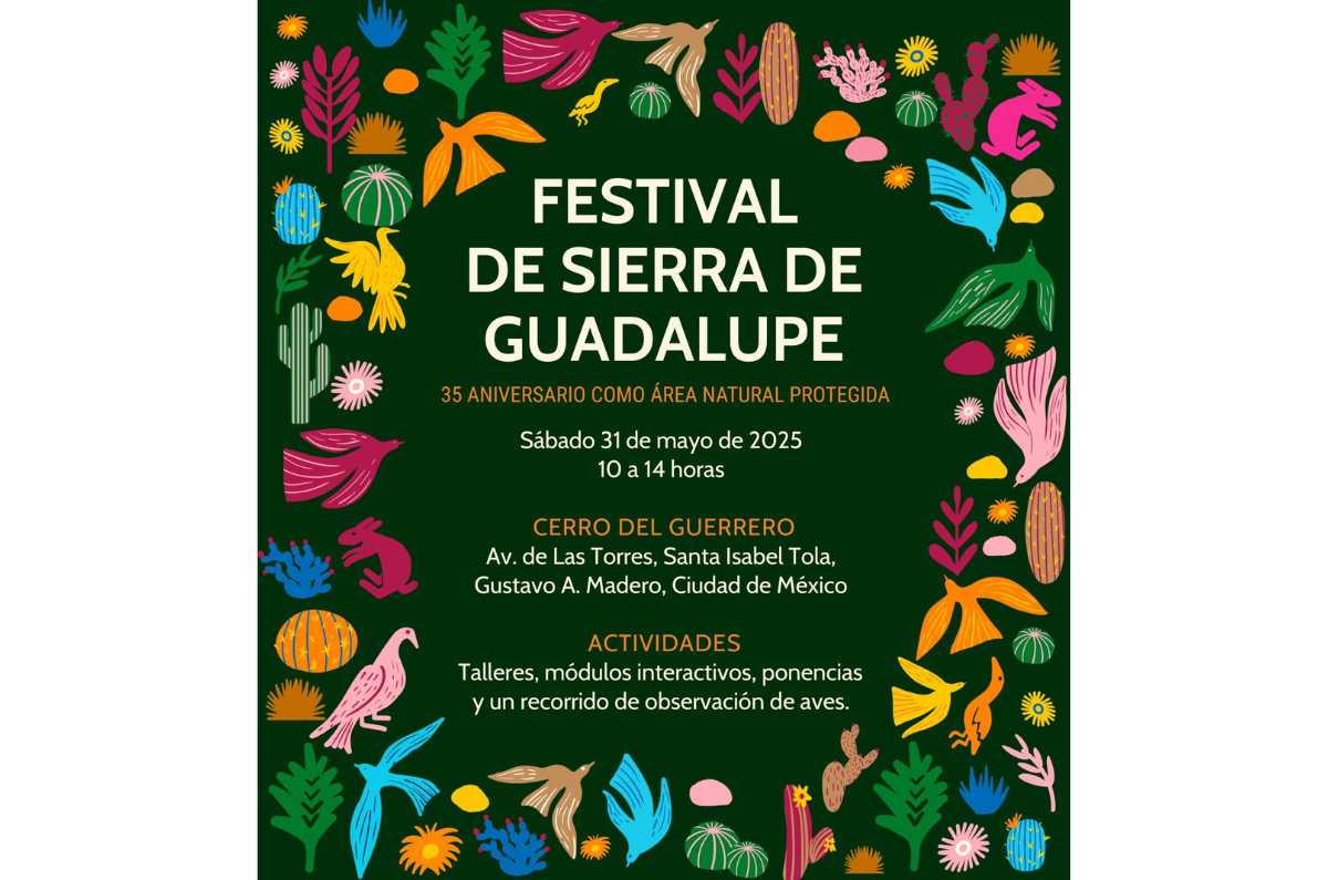 festival-de-la-sierra-de-guadalupe