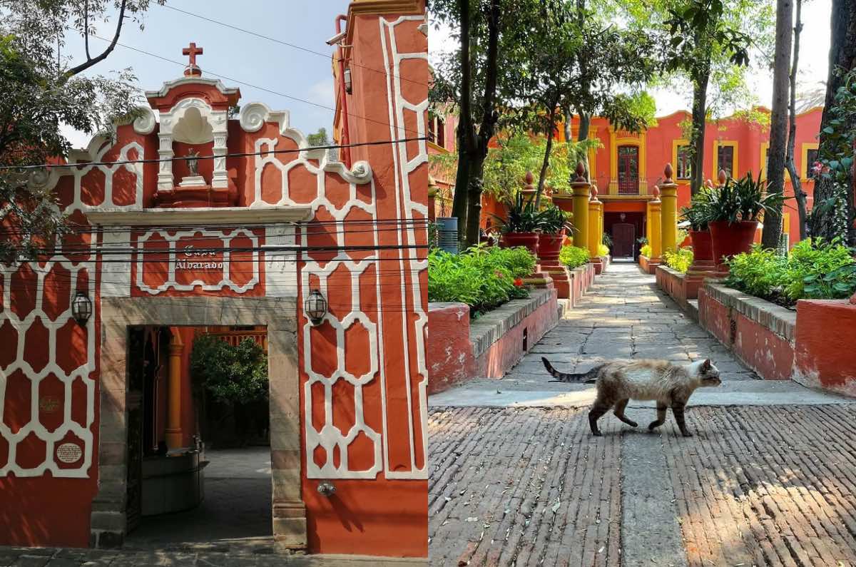 Fonoteca Nacional: el paraíso sonoro en CDMX que debes conocer