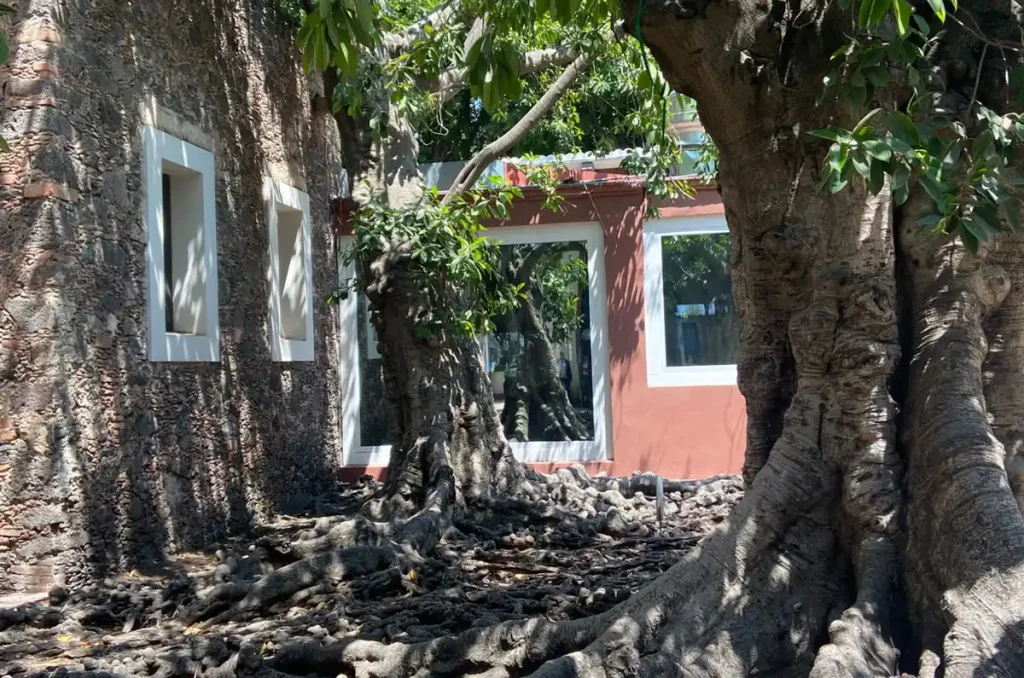 Un roadtrip por el Bajío: tres paradas con historia, descanso y sabor 2
