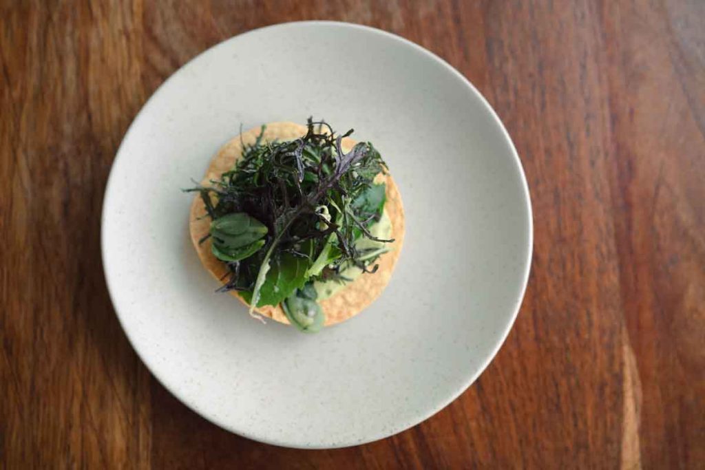LagoAlgo inaugura su primera residencia gastronómica del año con Alfonsina del chef Jorge León en Chapultepec.
