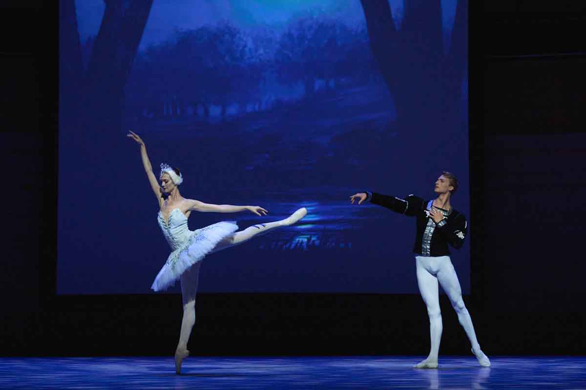 lago-cisnes-