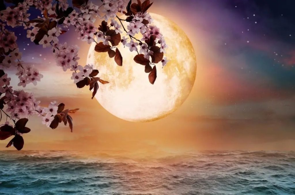 Luna de Flores 2025: cuándo verla y por qué es especial 1
