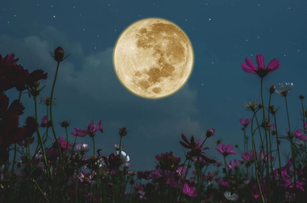Luna de Flores 2025: cuándo verla y por qué es especial 0