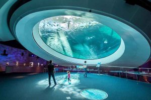 Miami al 2×1: Atracciones y Museos con Descuentos en mayo