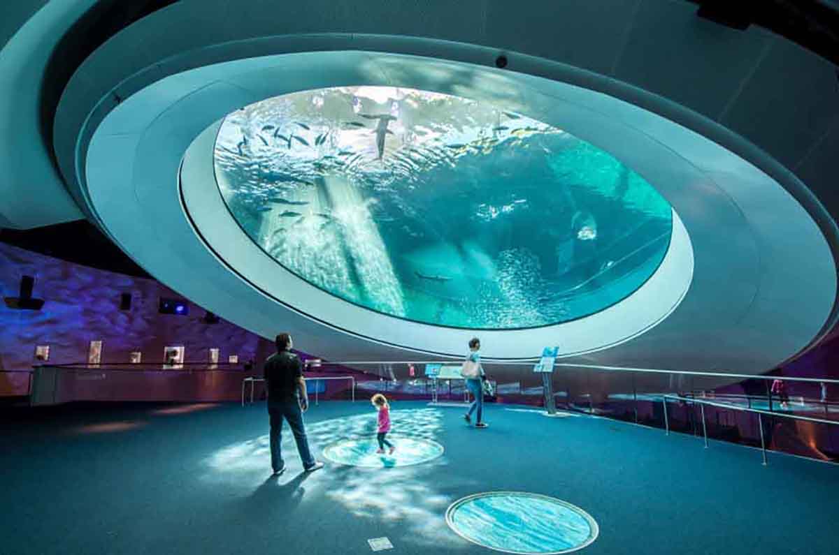 Miami al 2×1: Atracciones y Museos con Descuentos en mayo