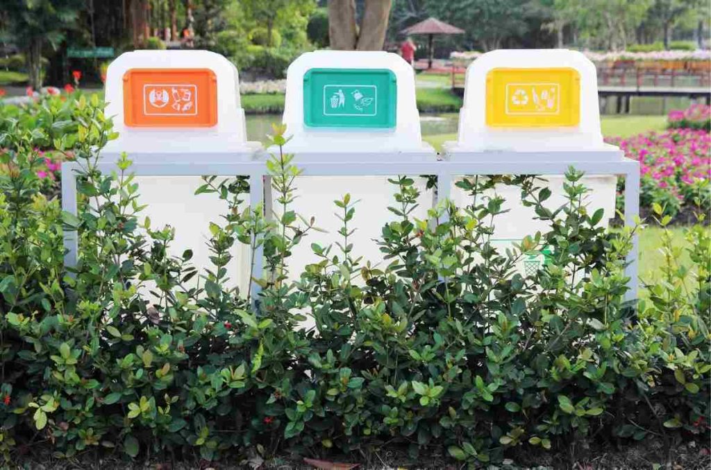 Top de parques ecológicos y centros ambientales en CDMX que debes visitar al menos una vez