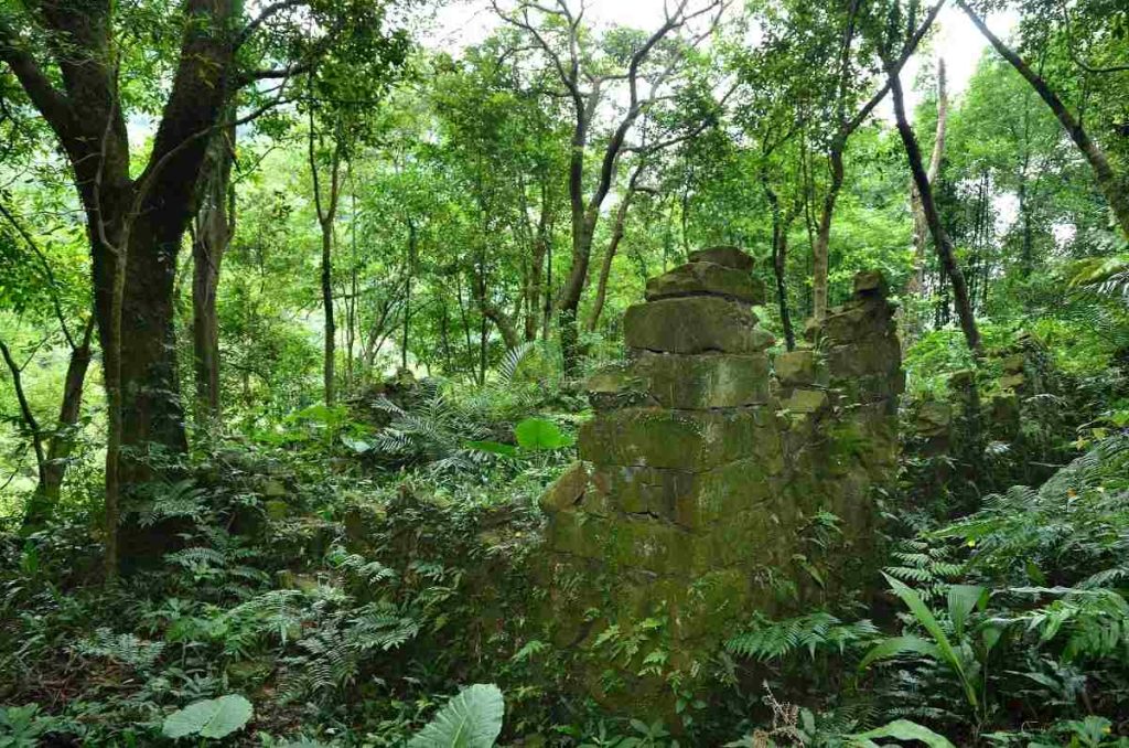 Parques ecológicos y centros ambientales en CDMX