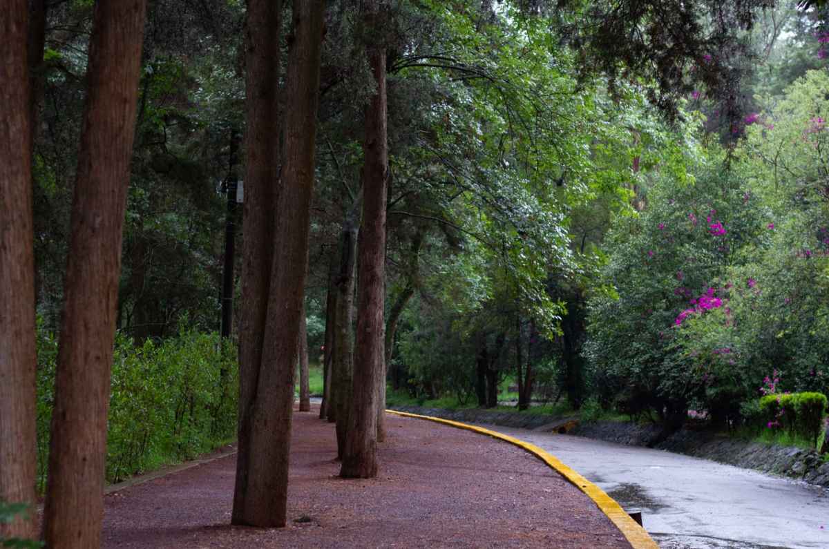 parques-ecologicos-y-centros-ambientales-4