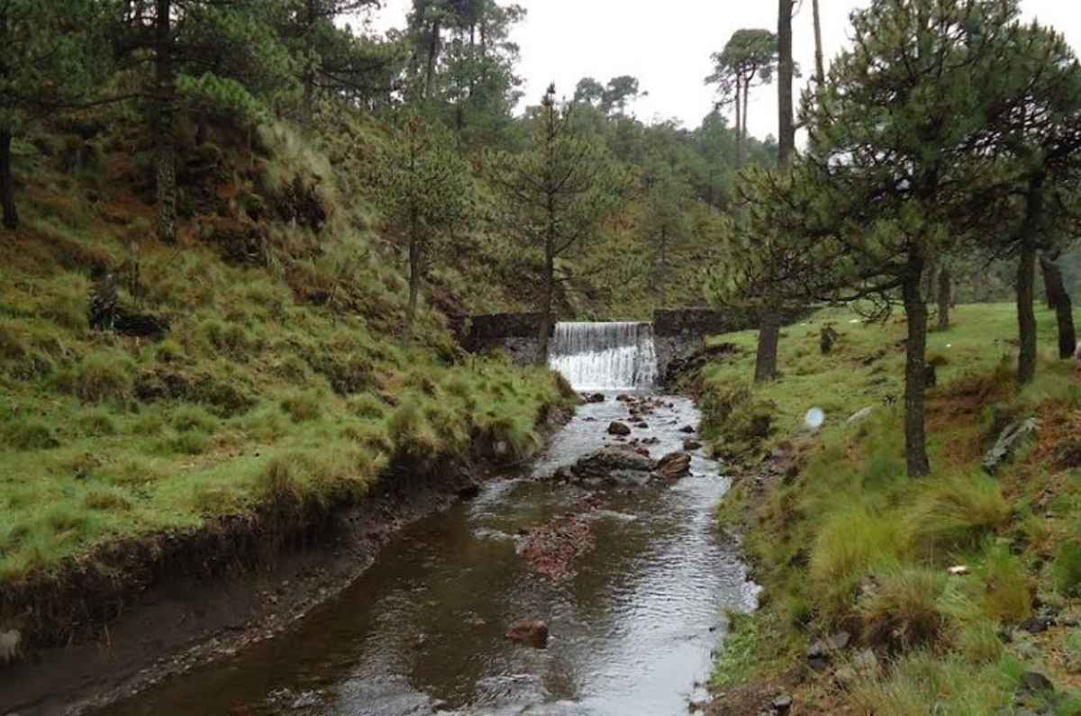 parques-ecologicos-y-centros-ambientales-5