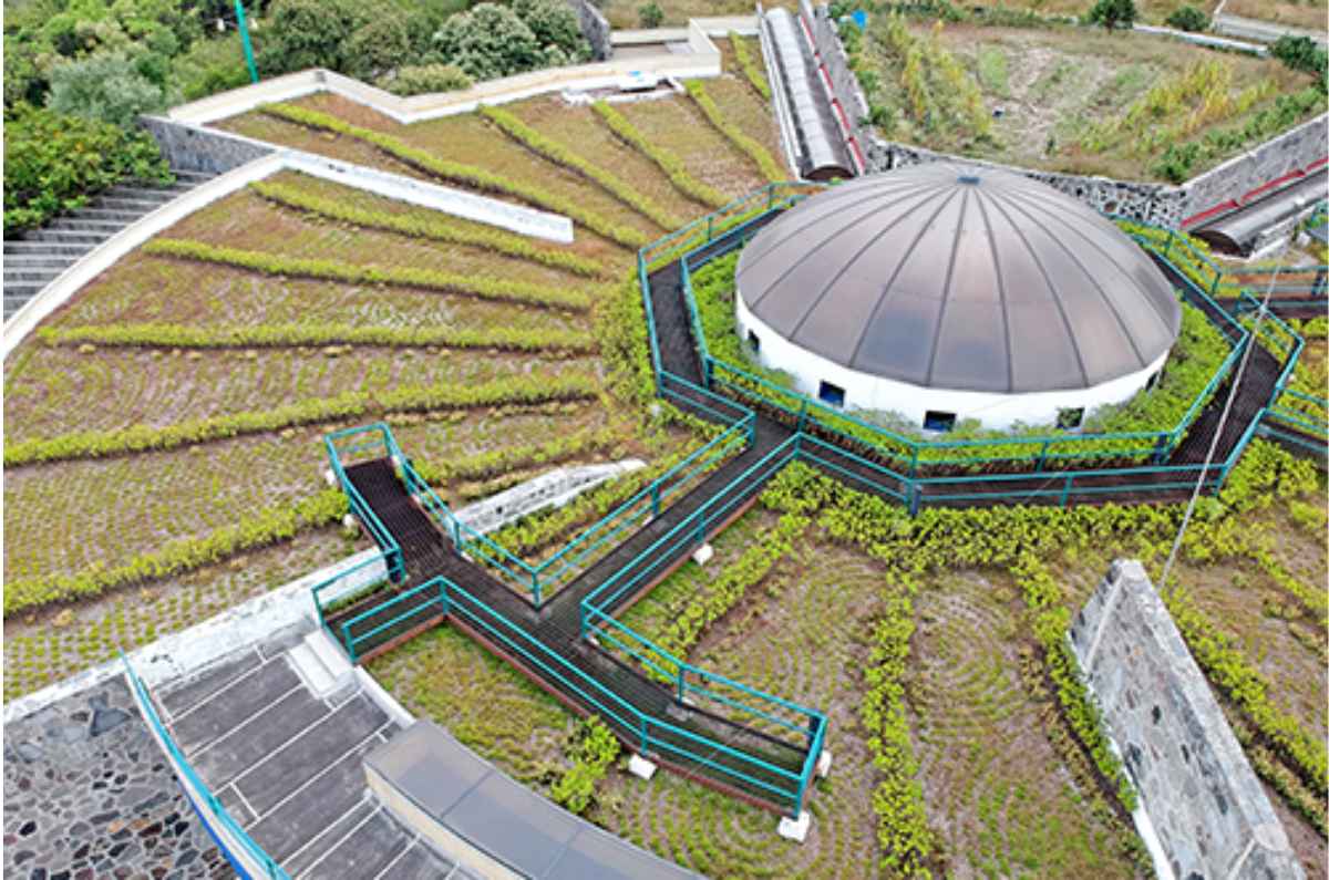 parques-ecologicos-y-centros-ambientales-6