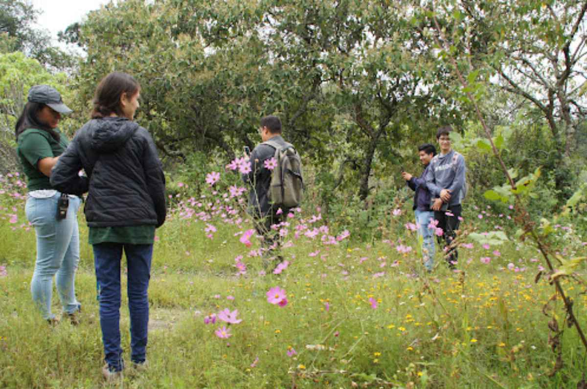 parques-ecologicos-y-centros-ambientales-7