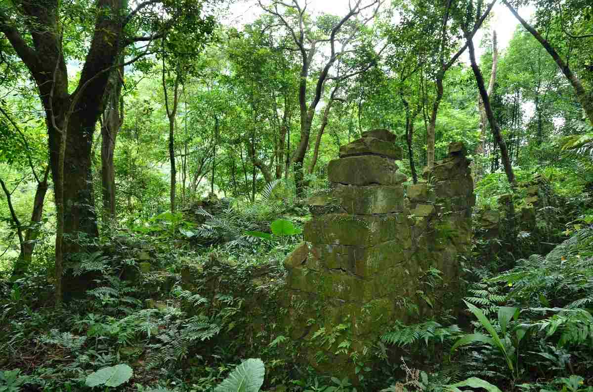 Casi nadie los visita: parques y centros ambientales imperdibles en CDMX