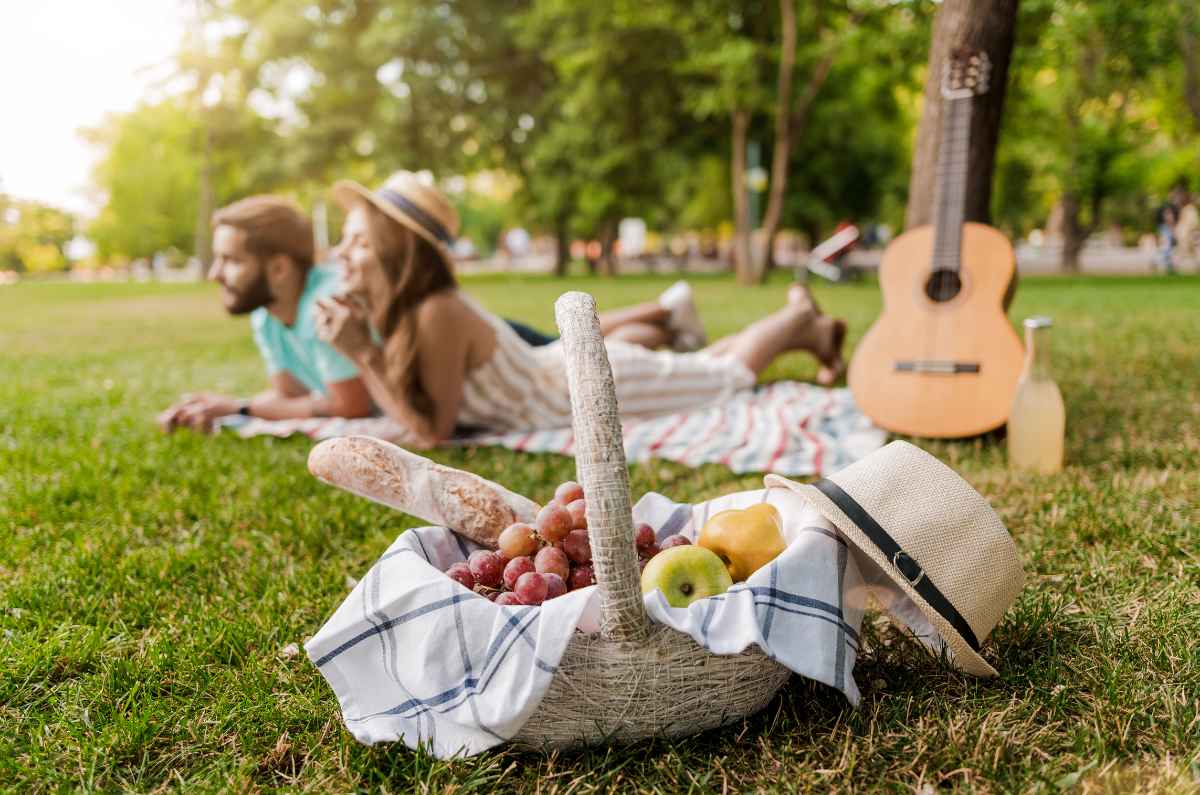 picnic-musical-2