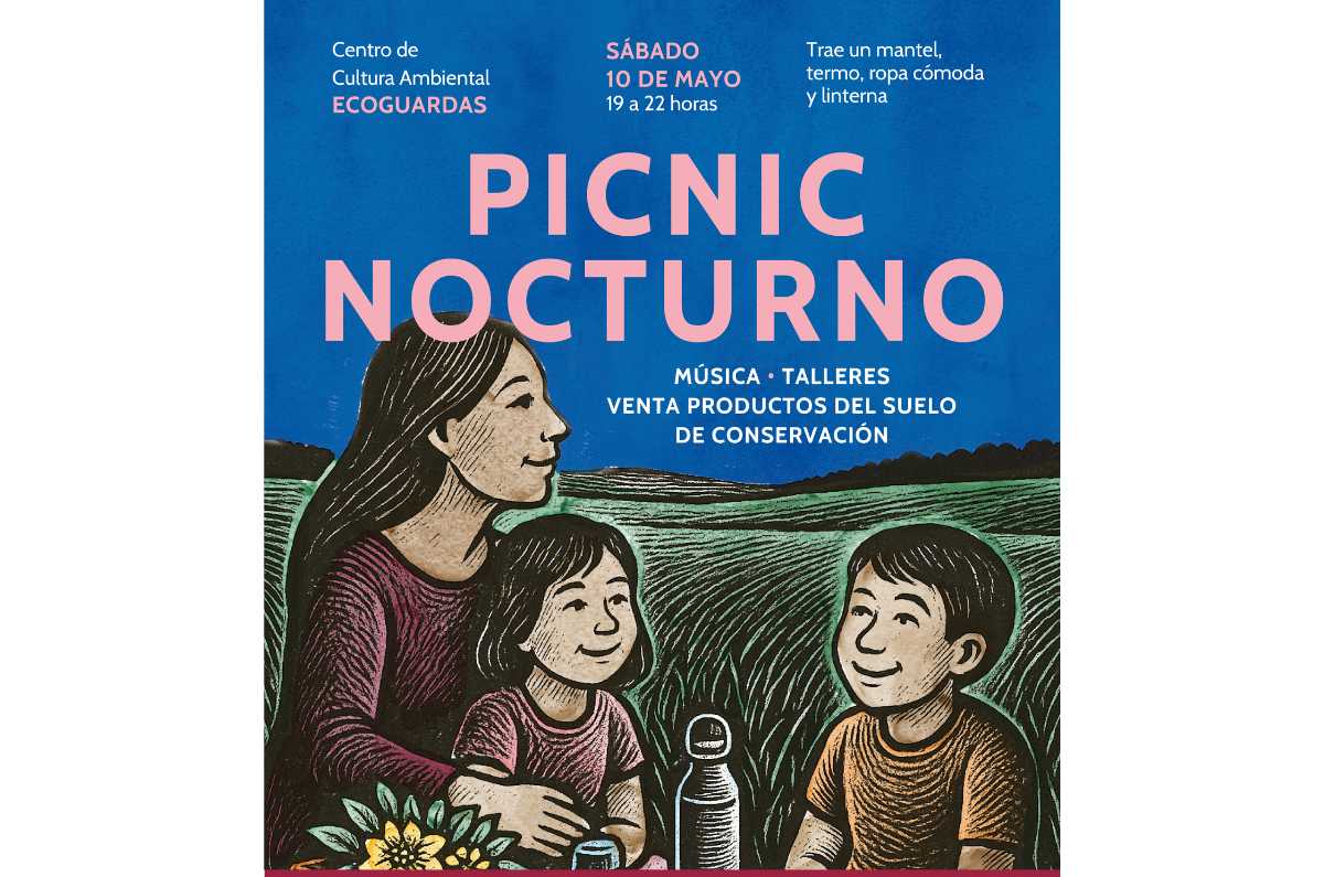 picnic-nocturno-en-ecoguardas-1