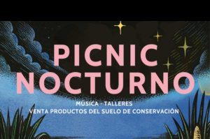 Picnic Nocturno en Ecoguardas: celebra el Día de las Madres con una noche especial