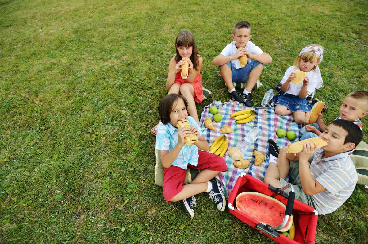 picnic-por-salu-1