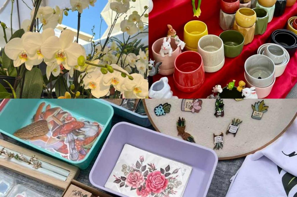 Cuándo y dónde será Plant Fest 2025 en CDMX