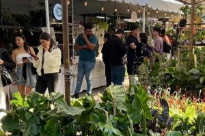 Plant Fest CDMX 2025: el bazar para los amantes de las plantas y flores