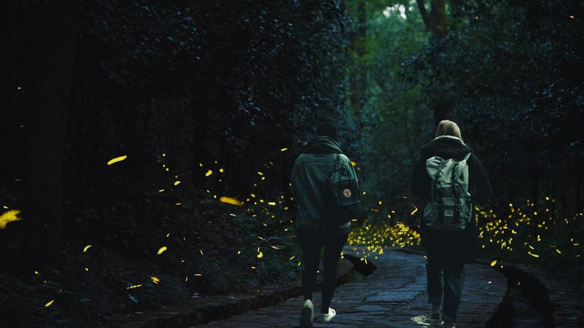 Caminata nocturna en Tlaxcala