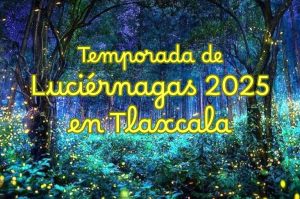 Lánzate al Santuario de Luciérnagas y disfruta de la naturaleza de Tlaxcala