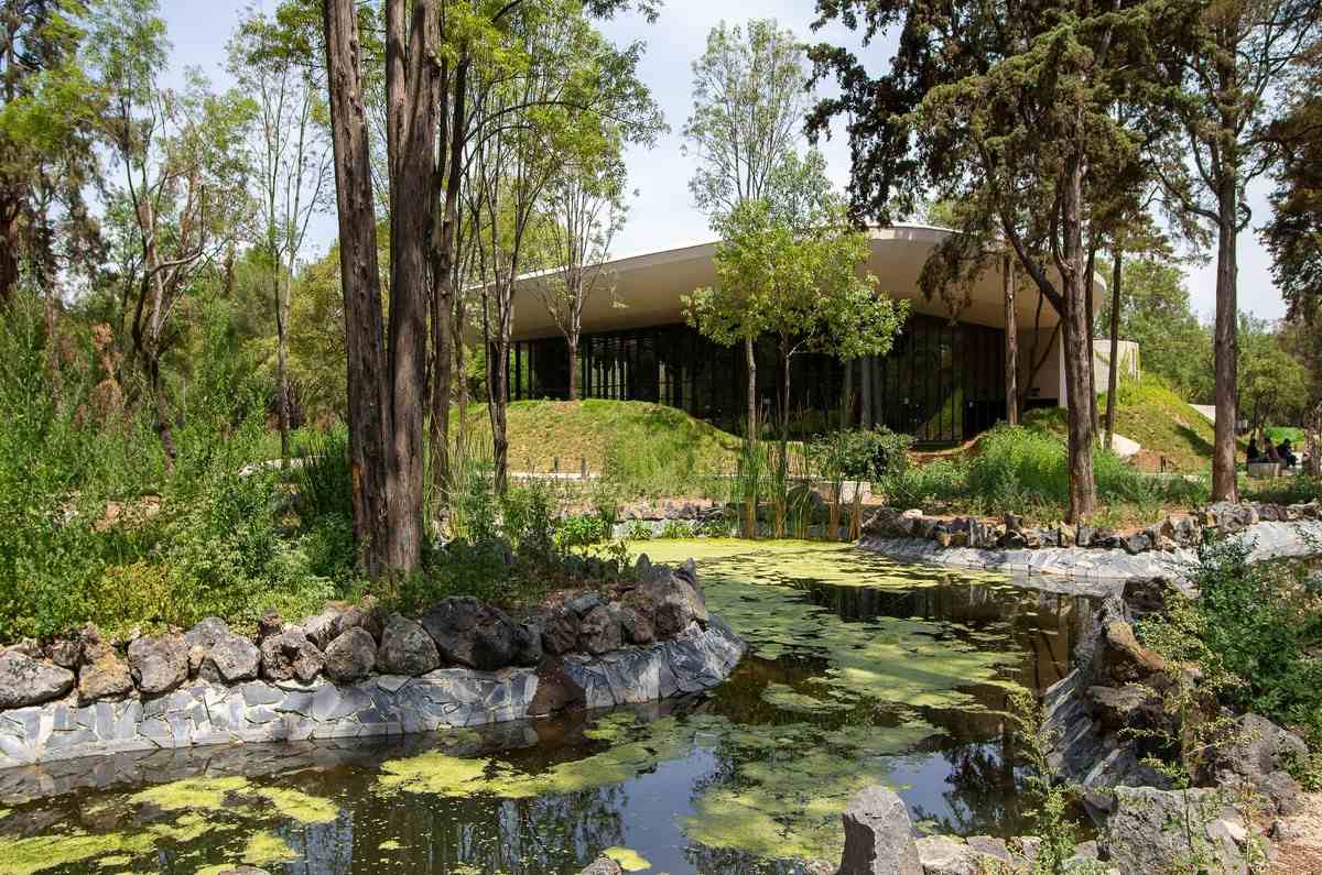 Bosque de Chapultepec abre vacantes para servicio social: Chécalas aquí