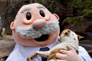 Todo sobre Simi Pet Care: las nuevas veterinarias de Farmacias Similares