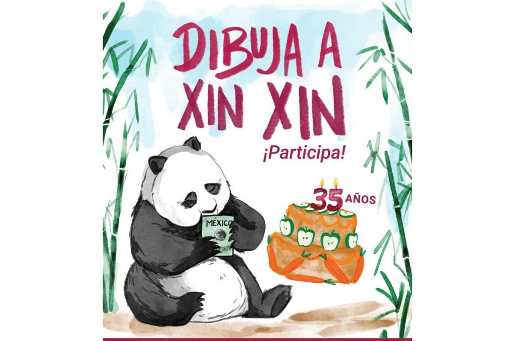 ¡Xin Xin cumple 35 años! Participa en la exposición de dibujo del Zoológico de Chapultepec
