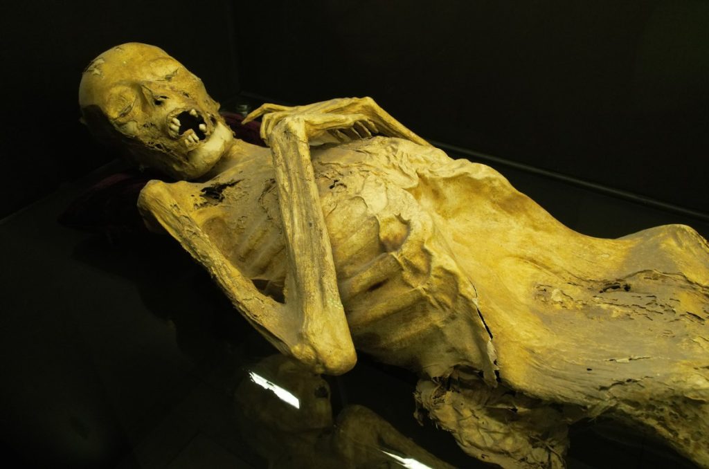 10 lugares imperdibles en Guanajuato Capital: desde museos hasta túneles subterráneos 1
