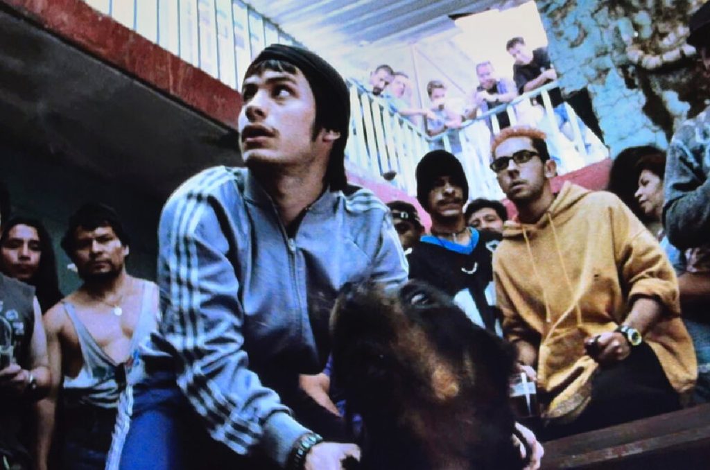 Amores Perros Cineteca Nacional MUBI Fest 2025 proyección especial programación