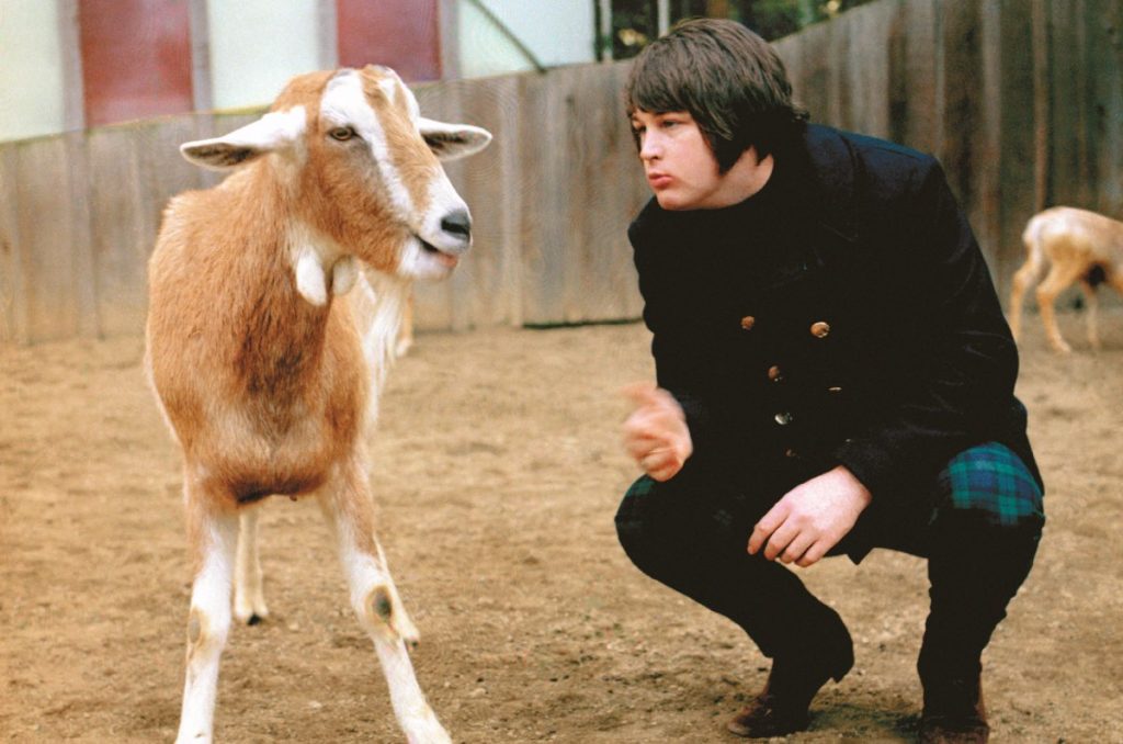 Brian Wilson muere a los 82 años The Beach Boys