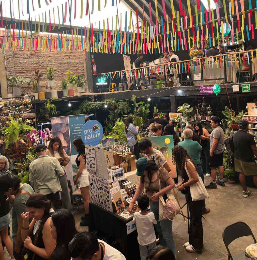 Casa Botánica vuelve a Lucerna 32 del 4 al 6 de julio con su séptima edición, ofreciendo venta de plantas, objetos botánicos y talleres