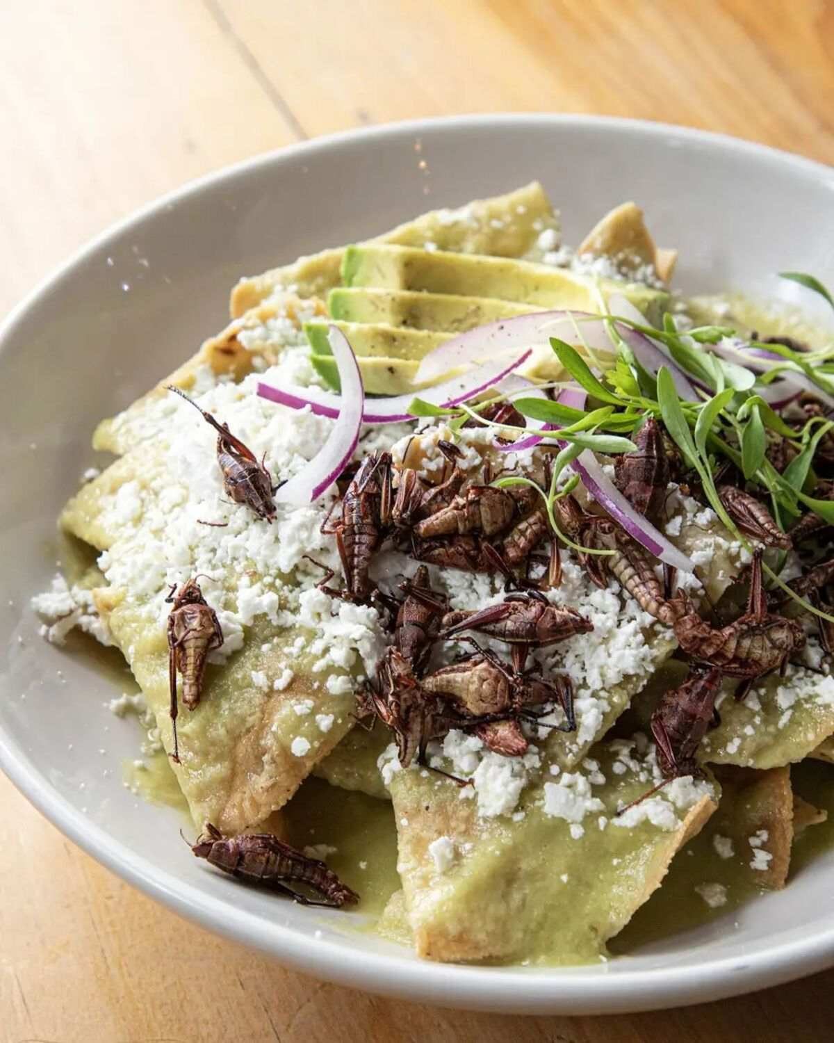 Dónde desayunar en CDMX: Top 3 con los mejores chilaquiles 2