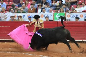 ¡No habrá más corridas de Toros en CDMX!