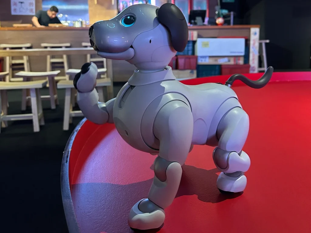 Vive Japón con Crossing Tokyo, The Selfie Experience 8