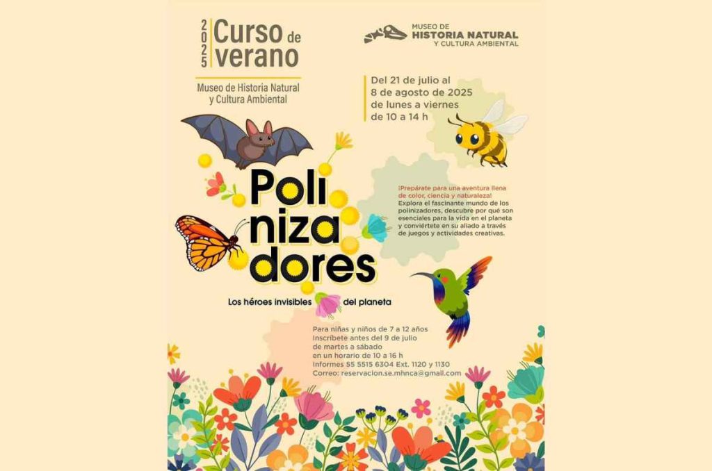 Curso de verano 2025 en el Museo de Historia Natural: Polinizadores, los héroes invisibles del planeta